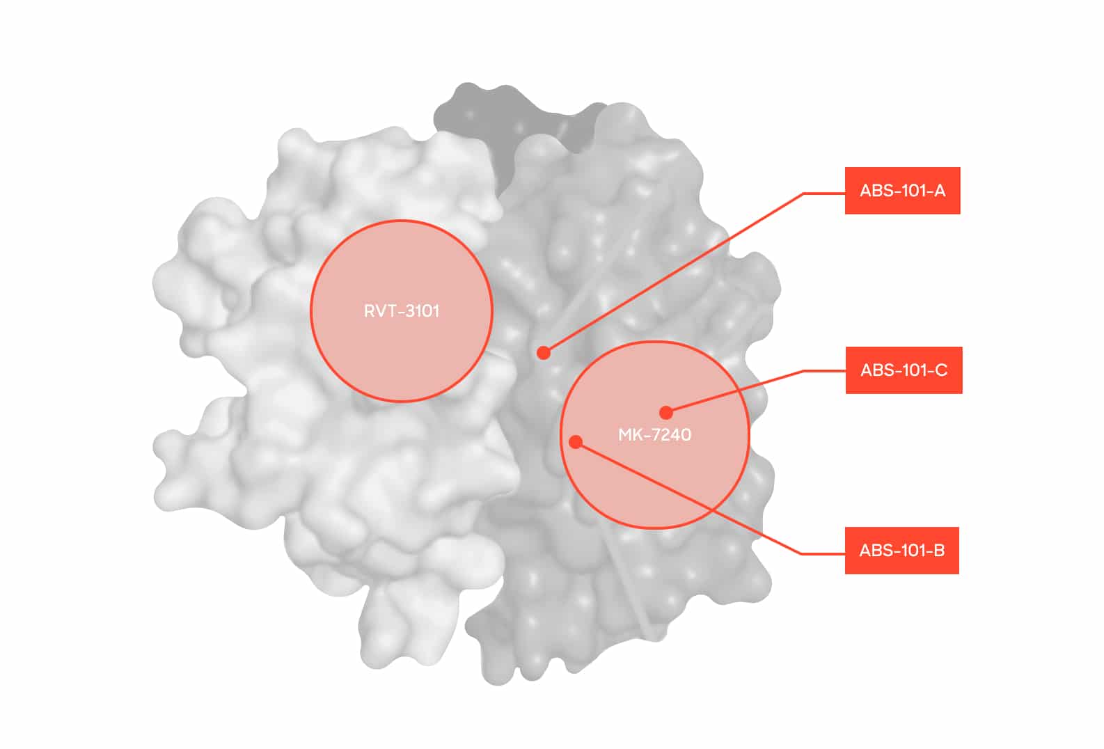 Epitope-bins-image